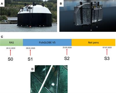 Health and Welfare of Atlantic Salmon in FishGLOBE V5 – a Novel Closed Containment System at Sea